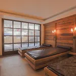 阿尔宾高级酒店 酒店 萨斯费