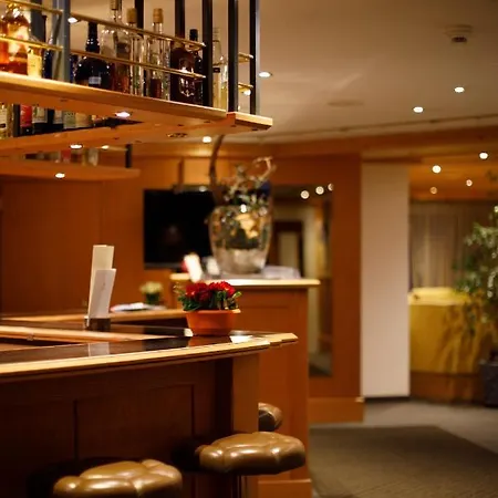 阿尔宾高级酒店 酒店 3*